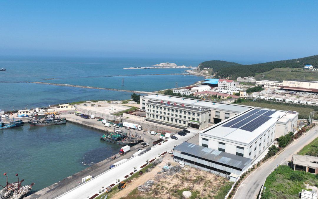 6t����(6TSPORTS)�����Źɷݹ�˾